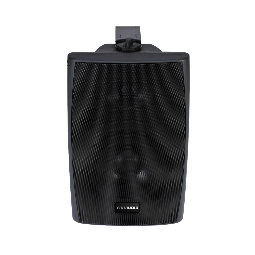 Wall Speaker-2