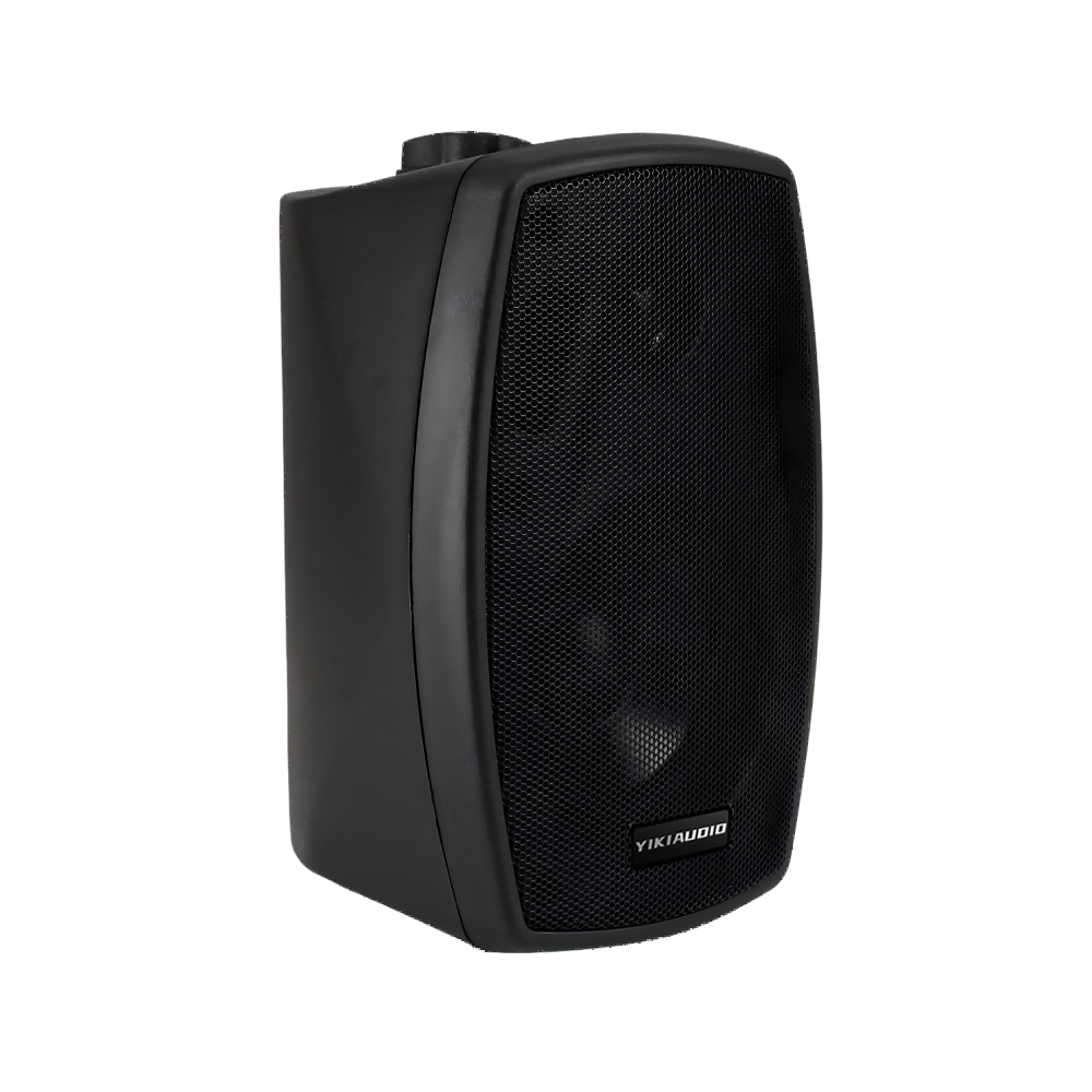 Wall Speaker-3