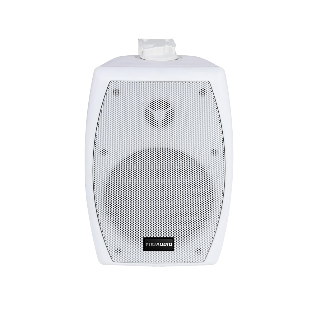 Wall Speaker-4