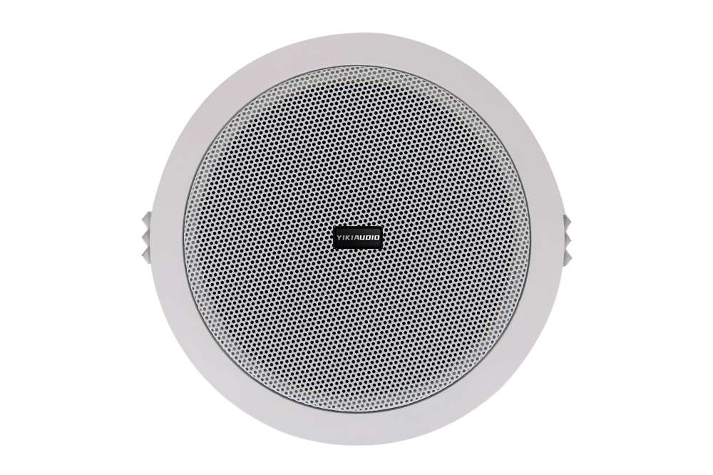 Ceiling Speaker-2