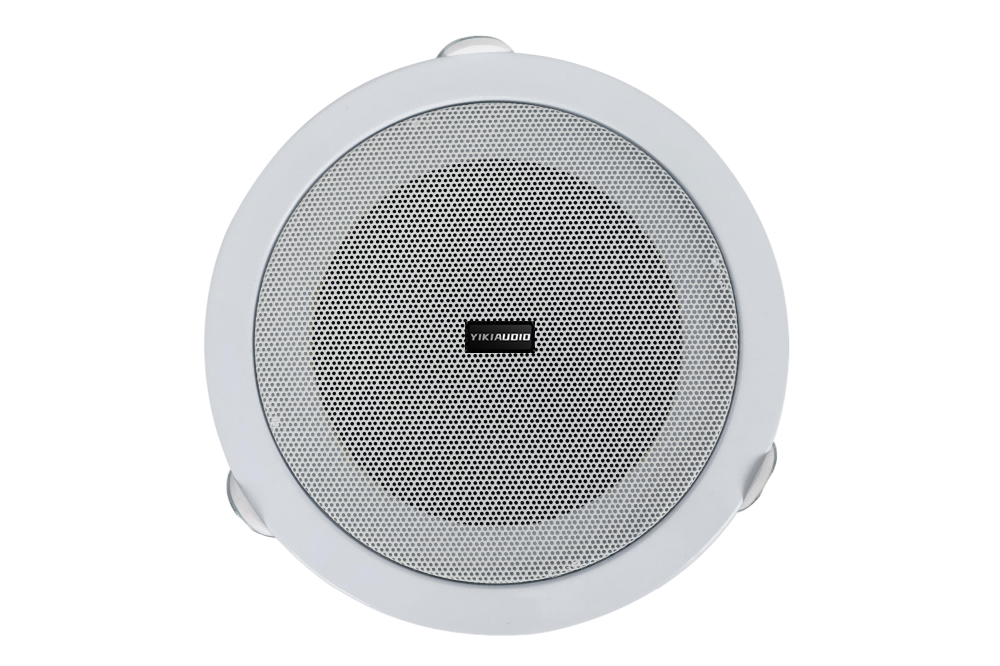 Ceiling Speaker-3