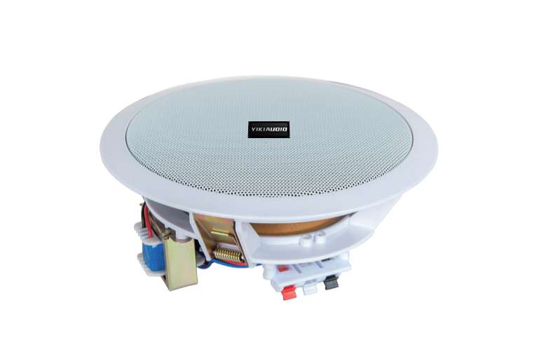 Ceiling Speaker-1